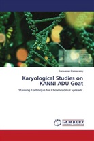 Saravanan Ramasamy - Karyological Studies on KANNI ADU Goat