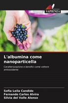 Silvia del Valle Alonso, Fernando Carlos Alvira, Sofia Leila Candido - L'albumina come nanoparticella