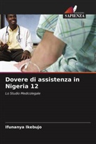 Ifunanya Ikebujo - Dovere di assistenza in Nigeria 12
