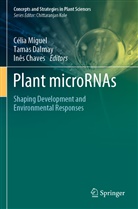 Inês Chaves, Tama Dalmay, Tamas Dalmay, Célia Miguel - Plant microRNAs