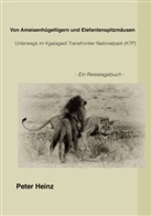 Peter Heinz - Von Ameisenhügeltigern und Elefantenspitzmäusen