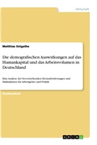 Matthias Ostgathe - Die demografischen Auswirkungen auf das Humankapital und das Arbeitsvolumen in Deutschland