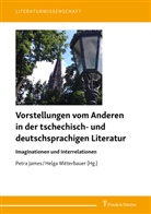 Petr James, Petra James, Mitterbauer, Mitterbauer, Helga Mitterbauer - Vorstellungen vom Anderen in der tschechisch- und deutschsprachigen Literatur