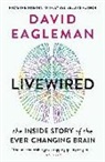 David Eagleman - Livewired