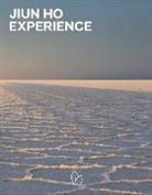 Jiun Ho, Ho Jiun - Jiun Ho: Experience