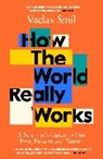 Vaclav Smil - How the World Really Works