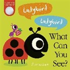 Amelia Hepworth, Hepworth Amelia, Pintachan - Ladybird! Ladybird! What Can You See?