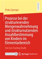 Priska Sprenger - Prozesse bei der strukturierenden Mengenwahrnehmung und strukturnutzenden Anzahlbestimmung von Kindern im Elementarbereich