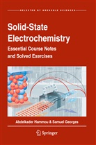 Samuel Georges, Hammou, Abdelkade Hammou, Abdelkader Hammou - Solid-State Electrochemistry