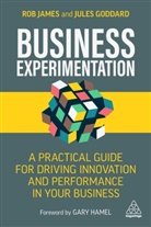 Jules Goddard, Goddard Jules, Rob James, Rob Goddard James, James Rob - Business Experimentation