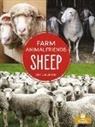 Amy Culliford - Sheep