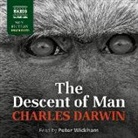 Charles Darwin, Peter Wickham - The Descent of Man: The Descent of Man, and Selection in Relation to Sex (Hörbuch)