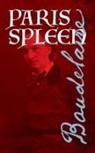 Charles Baudelaire - Paris Spleen
