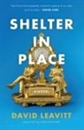 David Leavitt - Shelter in Place
