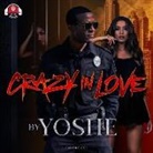 Yoshe, Ellis Park - Crazy in Love (Audio book)