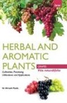 Himadri Panda - HERBAL AND AROMATIC PLANTS - Vitis rotundifolia (GRAPES)