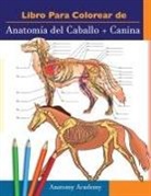 Anatomy Academy - Libro para colorear de Anatomía del Caballo + Canina