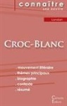 Jack London - Fiche de lecture Croc-Blanc de Jack London (analyse littéraire de référence et résumé complet)