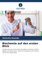 Olufunke Dawodu - Biochemie auf den ersten Blick