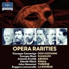 Georges Bizet, Antonin Dvorák, Giuseppe Gazzaniga - 40th Anniversary Edition - Opera Rarities, 10 Audio-CD (Audiolibro)