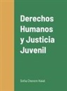Sofia Cherem Haiat - Derechos Humanos y Justicia Juvenil