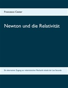 Francesco Cester - Newton und die Relativität