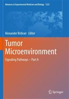 Alexande Birbrair, Alexander Birbrair - Tumor Microenvironment