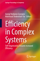 Georg Georgiev, Georgi Georgiev, Georgi Yordanov Georgiev, Shokrollahi-Far, Shokrollahi-Far, Mahmoud Shokrollahi-Far... - Efficiency in Complex Systems