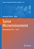 Alexande Birbrair, Alexander Birbrair - Tumor Microenvironment