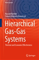 Ryszar Bartnik, Ryszard Bartnik, Tomasz Wojciech Kowalczyk - Hierarchical Gas-Gas Systems