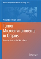 Alexande Birbrair, Alexander Birbrair - Tumor Microenvironments in Organs
