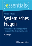 Andreas Patrzek - Systemisches Fragen