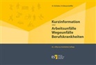 Heike Braunsteffer, Heike (Dr. Braunsteffer, Heike (Dr.) Braunsteffer, Heinz Schieke, Heinz (Dr.) Schieke, Jör Schudmann... - Kurzinformation über Arbeitsunfälle Wegeunfälle Berufskrankheiten
