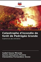 Isabel Sousa Miranda, Aurora Gonçalves Pereira, Clementina  Fernandess Sousa, Clementina Fernandess Sousa - Catastrophe d'incendie de forêt de Pedrógão Grande