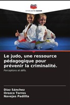 Navejas Padillla, Díaz Sánchez, Orozco Torres - Le judo, une ressource pédagogique pour prévenir la criminalité.