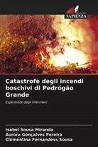 Isabel Sousa Miranda, Aurora Gonçalves Pereira, Clementina  Fernandess Sousa, Clementina Fernandess Sousa - Catastrofe degli incendi boschivi di Pedrógão Grande