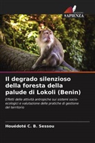 Houédoté C. B. Sessou - Il degrado silenzioso della foresta della palude di Lokoli (Benin)