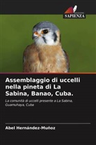 Abel Hernández-Muñoz - Assemblaggio di uccelli nella pineta di La Sabina, Banao, Cuba.