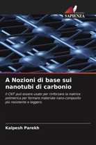 Kalpesh Parekh - A Nozioni di base sui nanotubi di carbonio