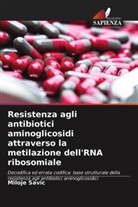 Miloje Savic - Resistenza agli antibiotici aminoglicosidi attraverso la metilazione dell'RNA ribosomiale