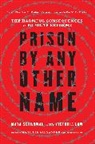 Victoria Law, Law Victoria, Maya Schenwar, Maya Law Schenwar, Schenwar Maya - Prison By Any Other Name