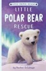 Rachel Delahaye, Artful Doodlers, Suzie Mason, Artful Doodlers, Suzie Mason - Little Polar Bear Rescue