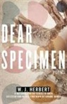 W J Herbert, W. J. Herbert, W.J. Herbert - Dear Specimen
