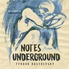 Fyodor Dostoevsky, Stefan Rudnicki - Notes from Underground (Hörbuch)