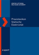 Günte Lüttgens, Günter Lüttgens, Sylv Lüttgens, Sylvia Lüttgens, Wolfgan Schubert, Wolfgang Schubert - Praxislexikon statische Elektrizität