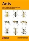 Geoffrey W Allen, Geoffrey W. Allen, Gary J Skinner, Gary J. Skinner - Ants