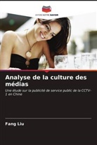 Fang Liu - Analyse de la culture des médias