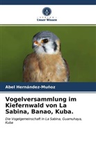 Abel Hernández-Muñoz - Vogelversammlung im Kiefernwald von La Sabina, Banao, Kuba.