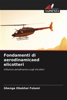 Gbenga Obokhai Folami - Fondamenti di aerodinamicaed elicotteri