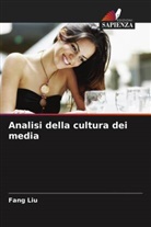 Fang Liu - Analisi della cultura dei media